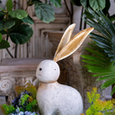 Rabbit W/ Long Ears Statue - Large at online8 furniture store Auckland