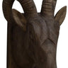 Rams Head Wall Sconce - Extra Large at online8 furniture store Auckland