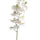 Real Touch Moth Orchid White at online8 furniture store Auckland