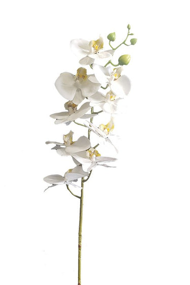 Real Touch Moth Orchid White at online8 furniture store Auckland