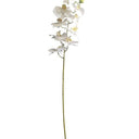 Real Touch Moth Orchid White at online8 furniture store Auckland