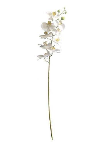Real Touch Moth Orchid White at online8 furniture store Auckland