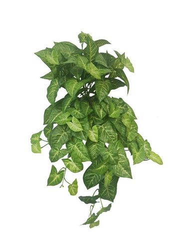 Real Touch Nephthytis Bush at Online8 Furniture Auckland NZ