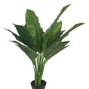 Real Touch Spathiphyllum Potted 73cm at Online8 Furniture Auckland NZ