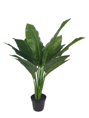 Real Touch Spathiphyllum Potted 73cm at online8 furniture store Auckland