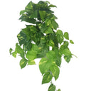 Real Touch Variegated Pothos Bush at online8 furniture store Auckland