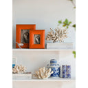 Ren Oval Jar With Lid at online8 furniture store Auckland