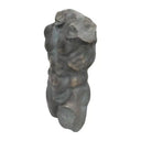 Greco Roman Nude Torso Sculpture - Black at Online8 Furniture Auckland NZ