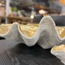 Resin Clam Shell Champagne Small at online8 furniture store Auckland