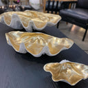 Resin Clam Shell Champagne Small at online8 furniture store Auckland