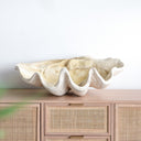 Resin Clam Shell - Large at online8 furniture store Auckland