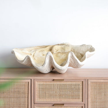 Resin Clam Shell - Large at online8 furniture store Auckland