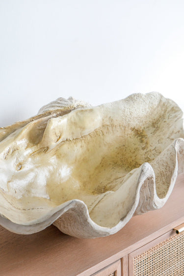 Resin Clam Shell - Large at online8 furniture store Auckland