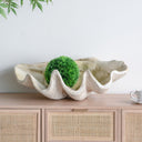 Resin Clam Shell - Large at online8 furniture store Auckland