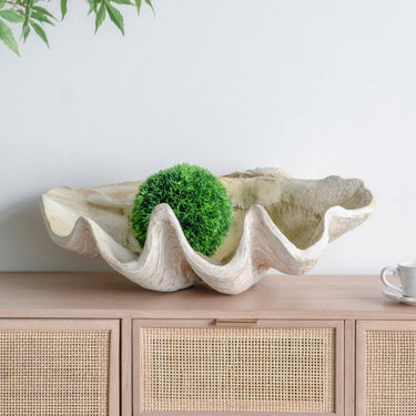 Resin Clam Shell - Large at online8 furniture store Auckland
