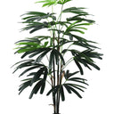 Rhapsis Palm Potted 1.2m at Online8 Furniture Auckland NZ