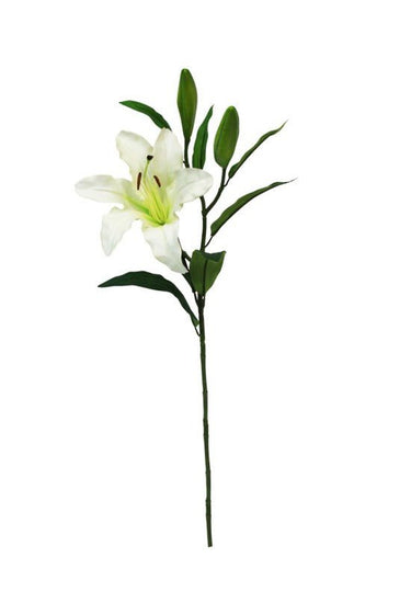 Rubrum Lily White at online8 furniture store Auckland