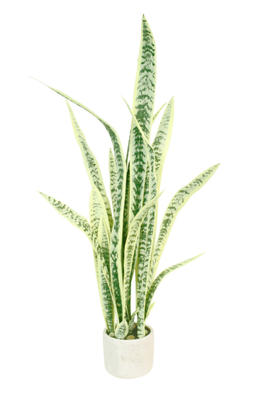 Sansevieria w/ White Cement Pot 1m Faux Plant at online8 furniture store Auckland