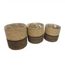 Seagrass Planter Baskets at online8 furniture store Auckland