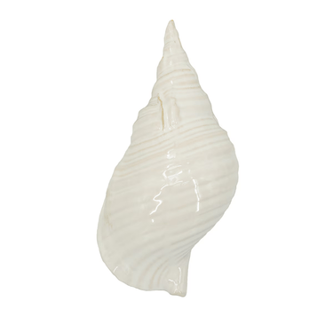 Seashell - White at online8 furniture store Auckland