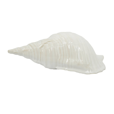 Seashell - White at online8 furniture store Auckland