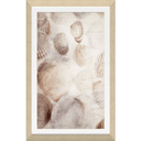 Seashells Framed Textured Print at online8 furniture store Auckland