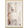 Seashells Framed Textured Print at online8 furniture store Auckland
