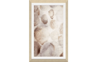Seashells Framed Textured Print at online8 furniture store Auckland