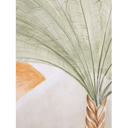 Shady Palms 2 Door Cabinet at online8 furniture store Auckland