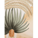 Shady Palms 2 Door Cabinet at online8 furniture store Auckland