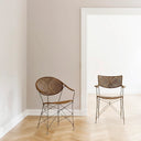 SIKA Icons Funky Dining Chair - Hazelnut at Online8 Furniture Auckland NZ