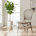 SIKA Originals Rossini Rattan Side Chair - Taupe at Online8 Furniture Auckland NZ