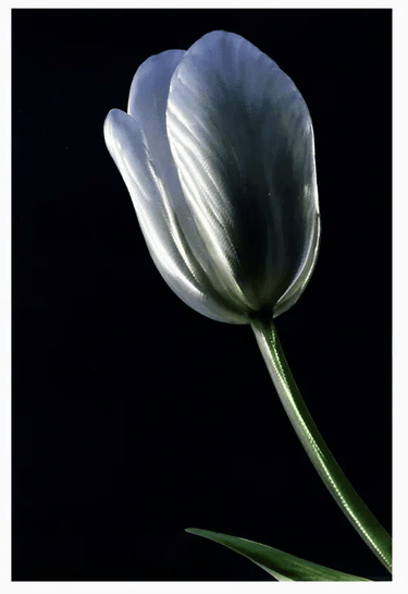 Simplicity Aluminium Wall Art 90x60 at online8 furniture store Auckland