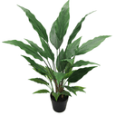 Spathiphyllum Vivaldi Potted - 91cm Faux Plant at online8 furniture store Auckland