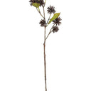 Spiky Pod Spray 73cm at online8 furniture store Auckland