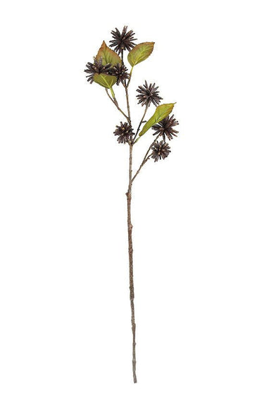 Spiky Pod Spray 73cm at online8 furniture store Auckland
