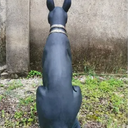 Statue of Anubis 81cm at online8 furniture store Auckland