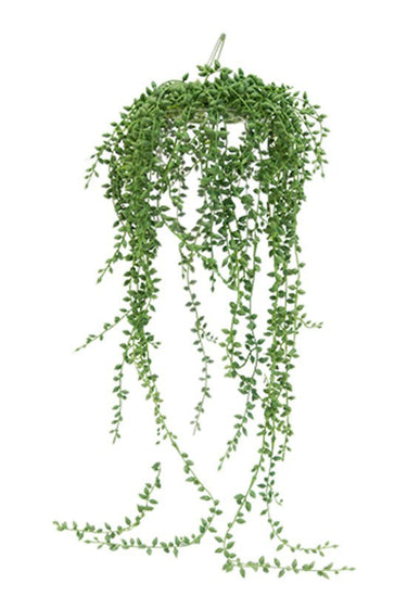 String of Pearls on Hanger 66cm at Online8 Furniture Auckland NZ