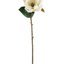 Sweetbay Magnolia 75cm Cream at online8 furniture store Auckland