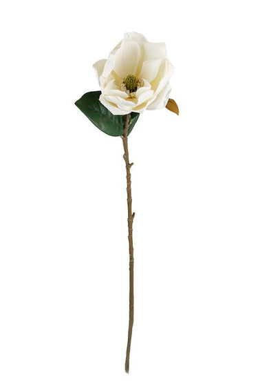 Sweetbay Magnolia 75cm Cream at online8 furniture store Auckland