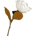 Sweetbay Magnolia 75cm Cream at online8 furniture store Auckland