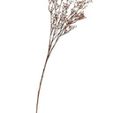 Talinum Spray 79cm at Online8 Furniture Auckland NZ