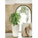 Tall Vintage Resin Planters - Set of 2 at online8 furniture store Auckland