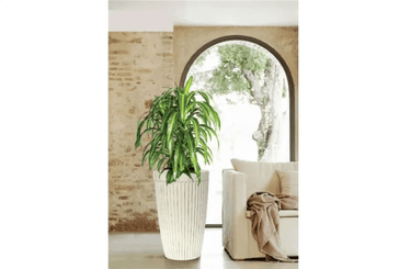 Tall Vintage Resin Planters - Set of 2 at online8 furniture store Auckland