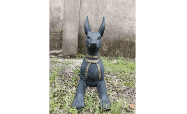 The statue of Anubis at online8 furniture store Auckland