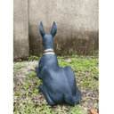 The statue of Anubis at online8 furniture store Auckland