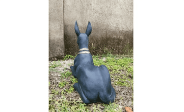 The statue of Anubis at online8 furniture store Auckland