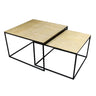 Tonto Coffee Table Set/2 at online8 furniture store Auckland