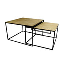 Tonto Coffee Table Set/2 at online8 furniture store Auckland