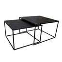 Tonto Coffee Table Set/2 at online8 furniture store Auckland